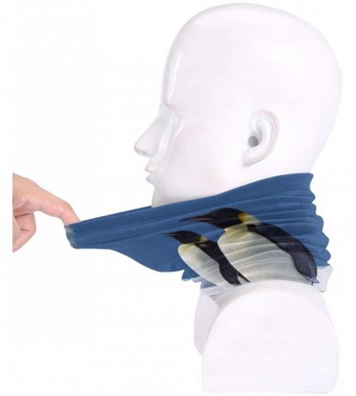 Balaclavas Lion Neck Gaiter Warmer Windproof Mask Dust Face Clothing Free UV Face Mask - Penguin - CB196QZYY4T $37.42